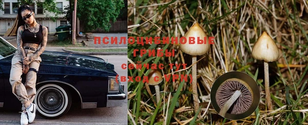 спайс Ельня