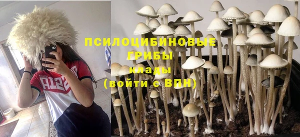кокаин колумбия Елабуга