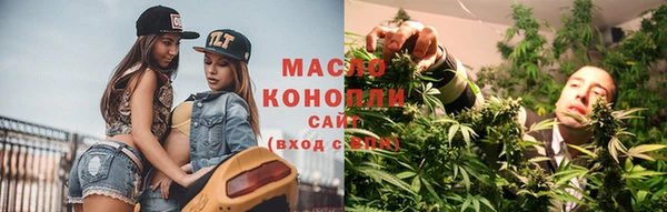 спайс Ельня